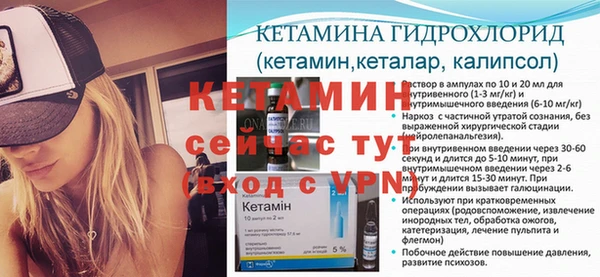 сатива Белоозёрский