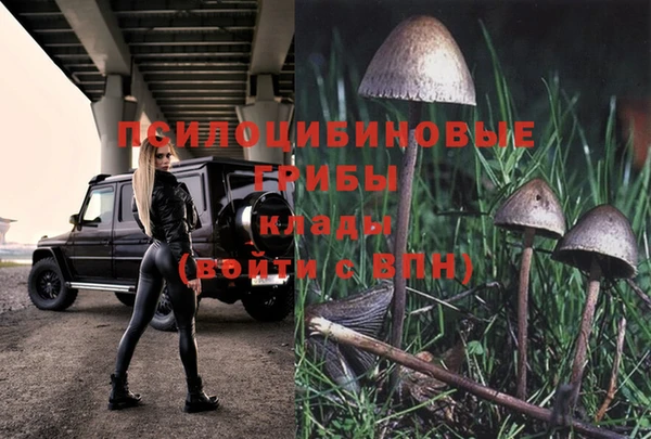 jwh Белокуриха