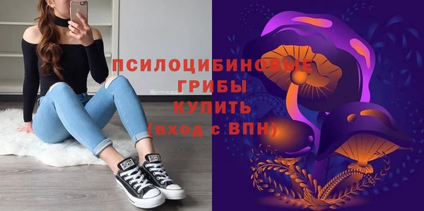 амф Балахна