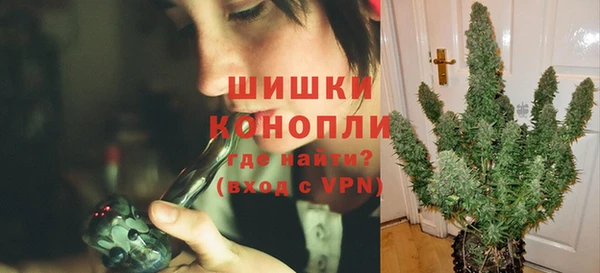 сатива Белоозёрский