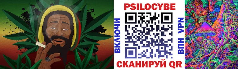 Псилоцибиновые грибы MAGIC MUSHROOMS сколько стоит Княгинино